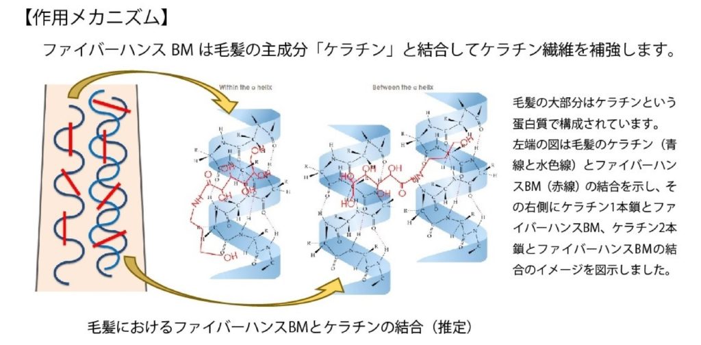 パーマ剤 (ﾁｵｸﾞﾘｺｰﾙ酸ｼｽﾃｱﾐﾝ) マーベリック｜髪本来の自然な美しさを追求したオーガニック＆ノンシリコン 株式会社